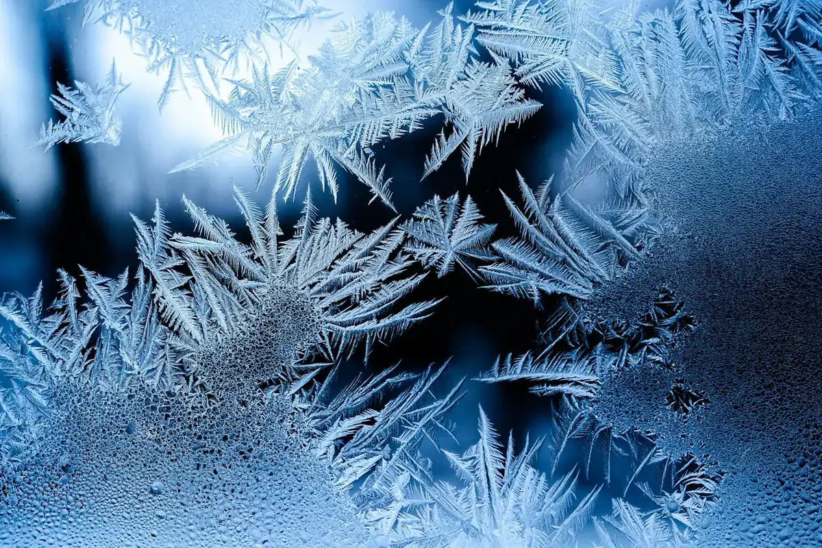Frost crystals covering a window pane